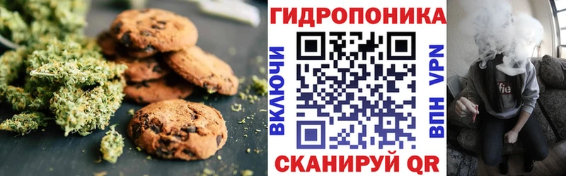 Купить закладки  Навашино  Cannafood марихуана 